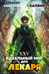 Идеальный мир для Лекаря 25