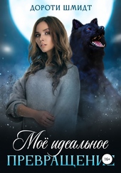 Моё идеальное превращение