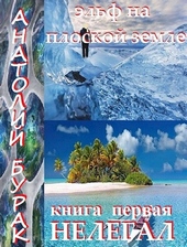 Эльф на плоской Земле. Книга 1. Нелегал.