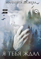 Я тебя ждал